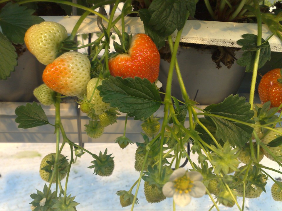 02012009129.jpg