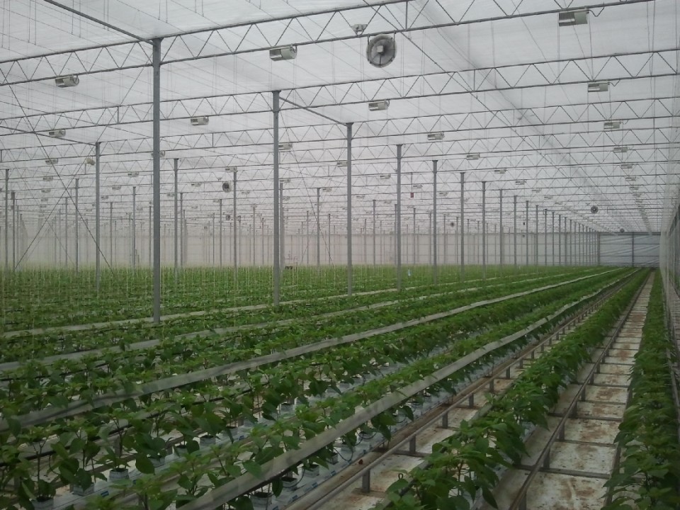 2012-12-09_10.37_.32_.jpg
