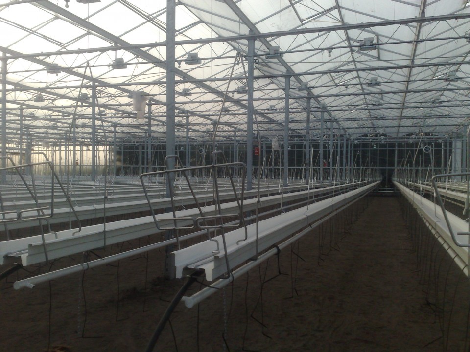 27092009645jpg.jpg