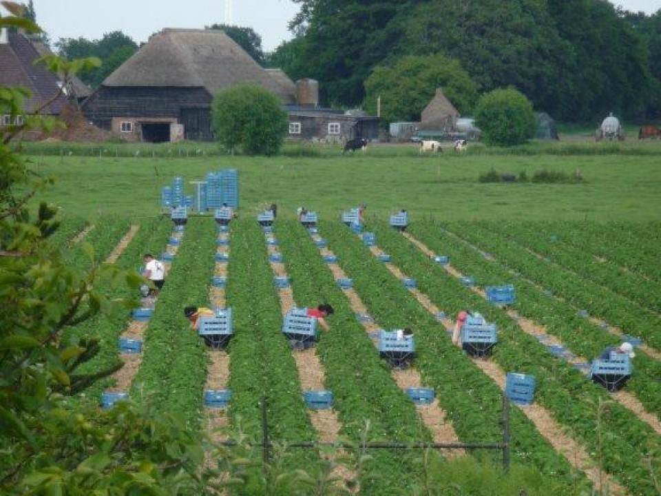 afbeelding_075.jpg