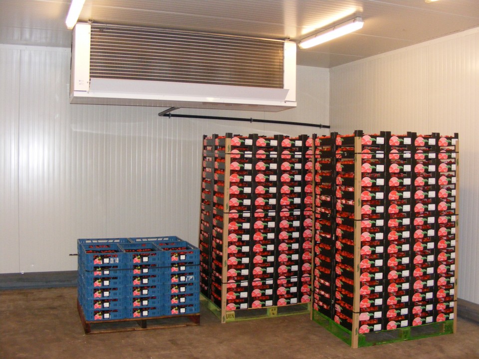 afbeelding_120jpg.jpg