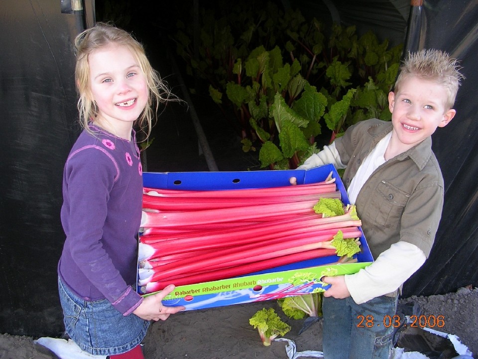 dscn2346.jpg