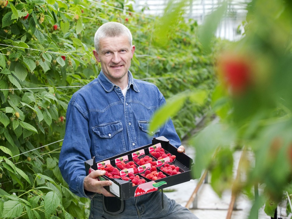 frambozenteler_heijkant256.jpg