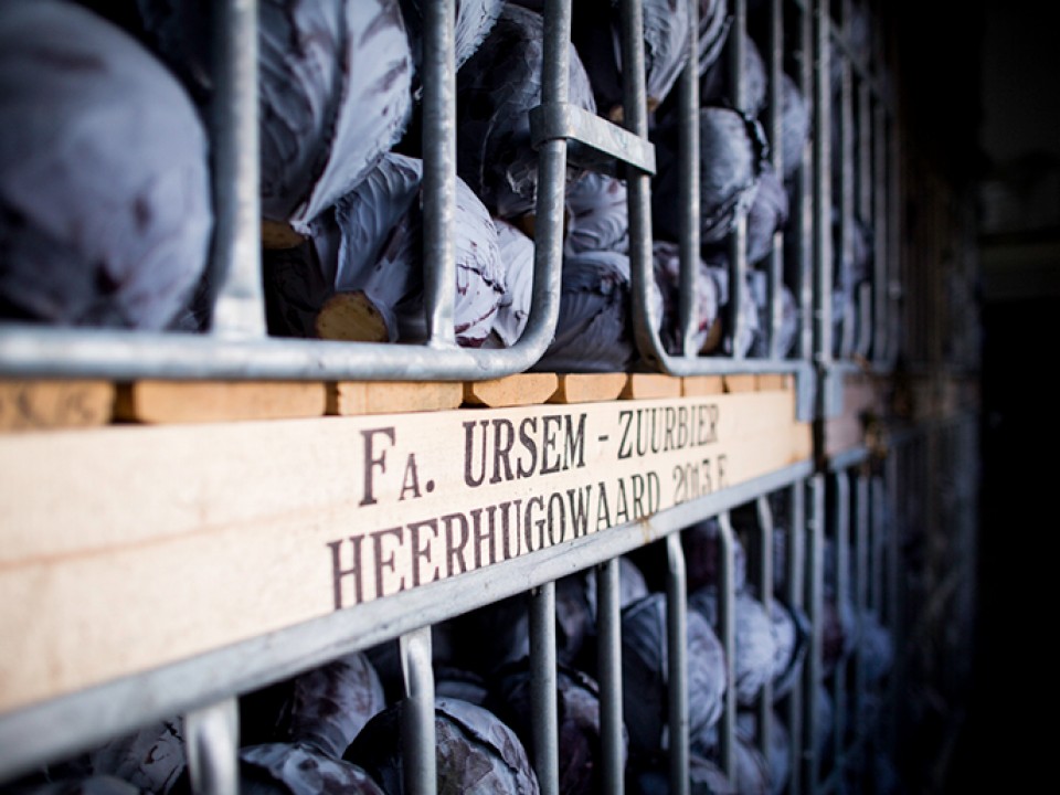 lq-verse-oogst-teler-ursem-zuurbier-24_727x515.jpg