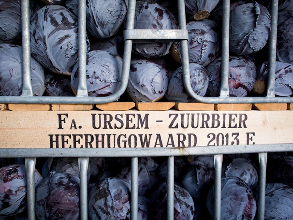 lq-verse-oogst-teler-ursem-zuurbier-25_727x515.jpg