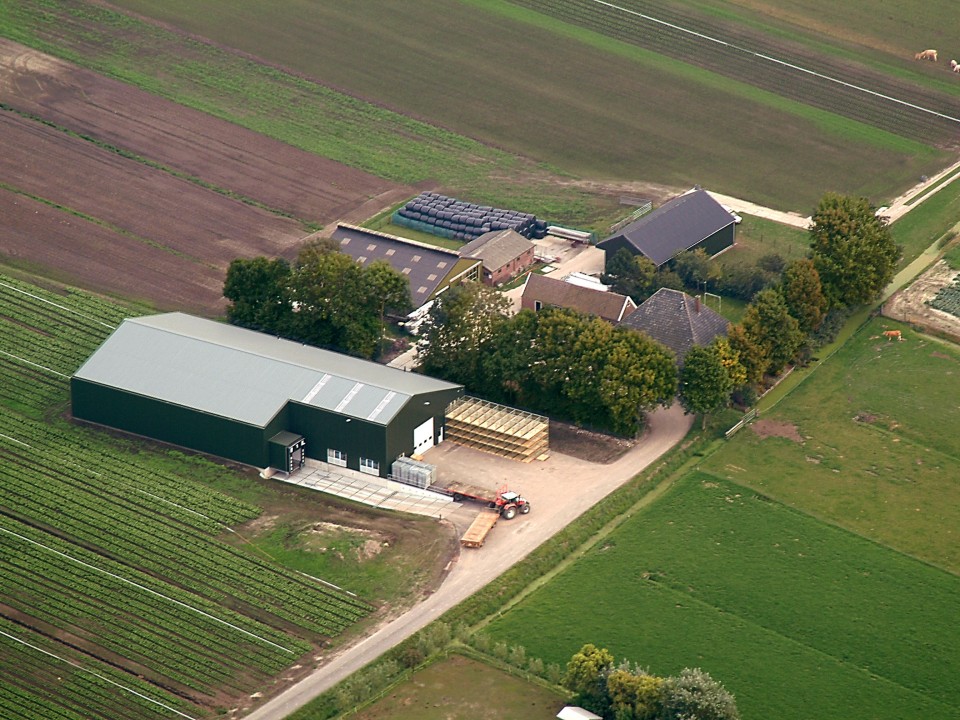 the_farm_1jpg0.jpg